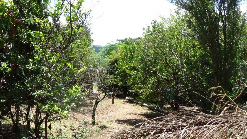 Terreno à venda, 600M2 - Foto 4