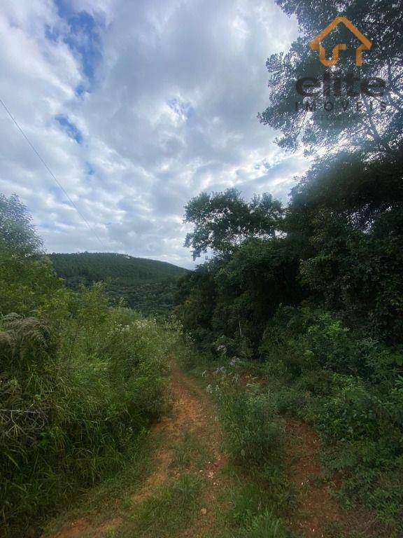 Fazenda à venda, 948000M2 - Foto 2