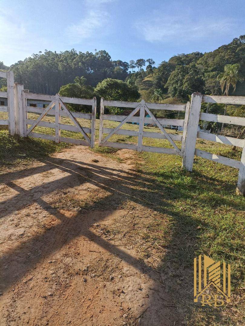 Chácara, 3 quartos, 7000 m² - Foto 4