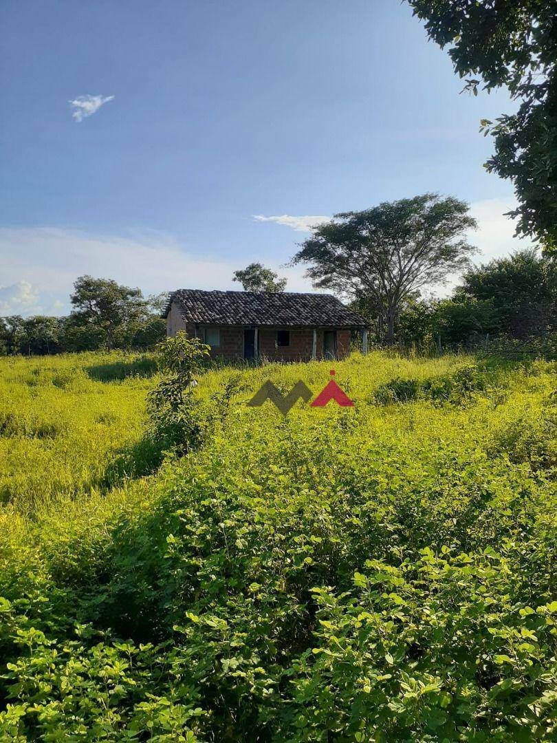 Fazenda à venda com 1 quarto, 43463200M2 - Foto 3