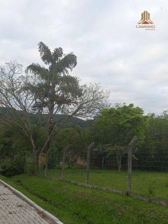 Terreno à venda, 2000M2 - Foto 3