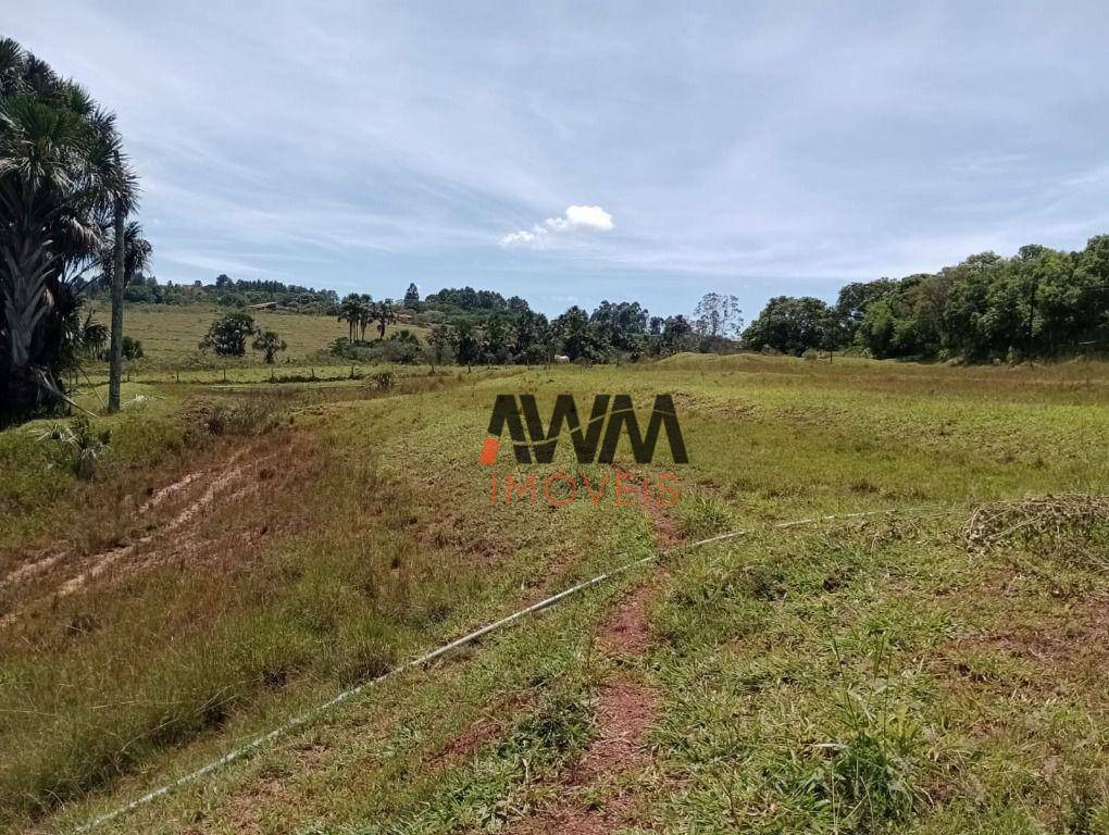 Fazenda à venda com 4 quartos, 820000M2 - Foto 36