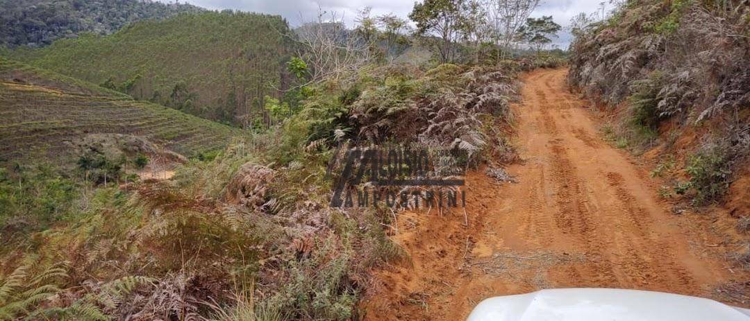 Fazenda à venda, 1452000M2 - Foto 40