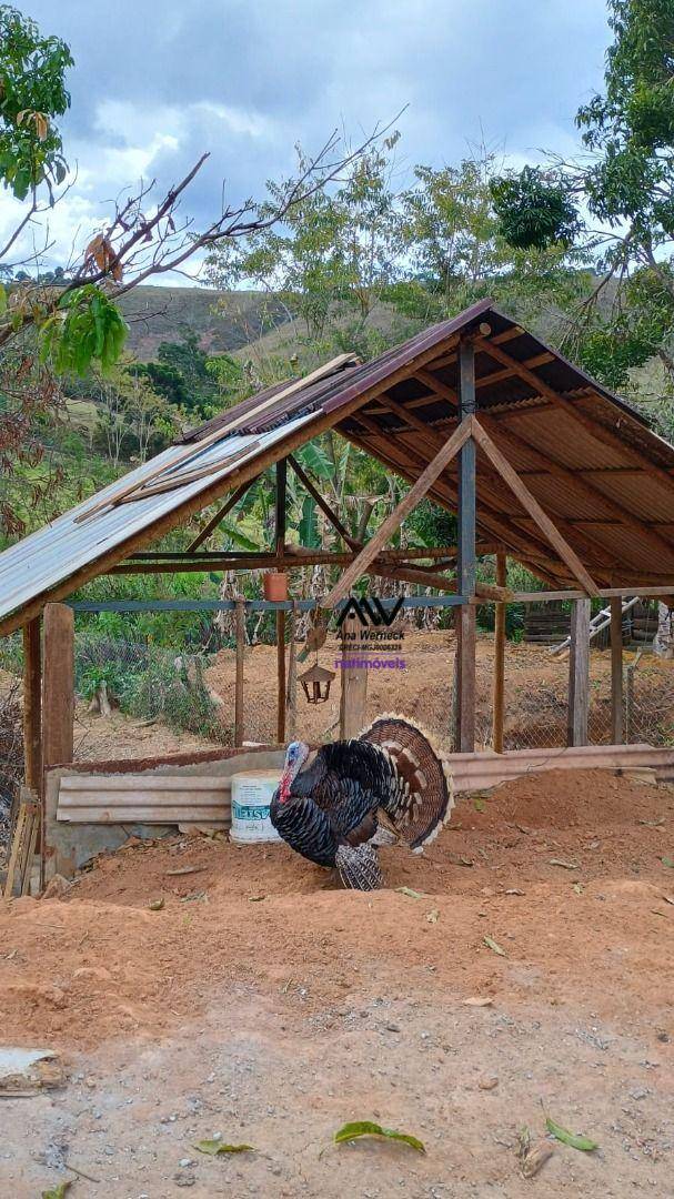 Chácara, 2 quartos, 2265 m² - Foto 3