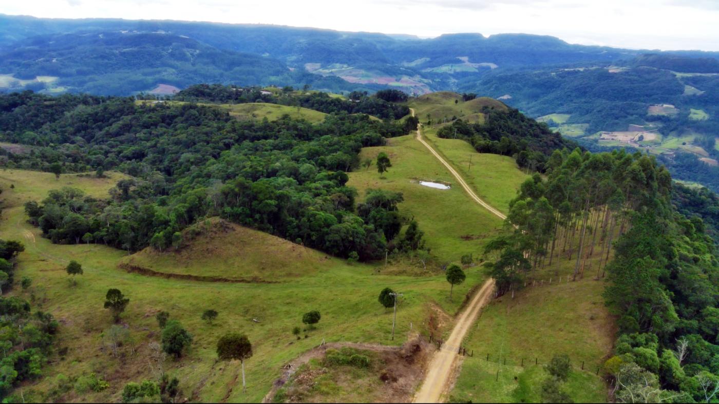 Fazenda à venda com 2 quartos, 862000m² - Foto 8