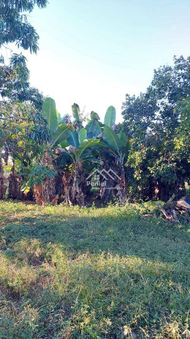 Fazenda à venda com 3 quartos, 200m² - Foto 2