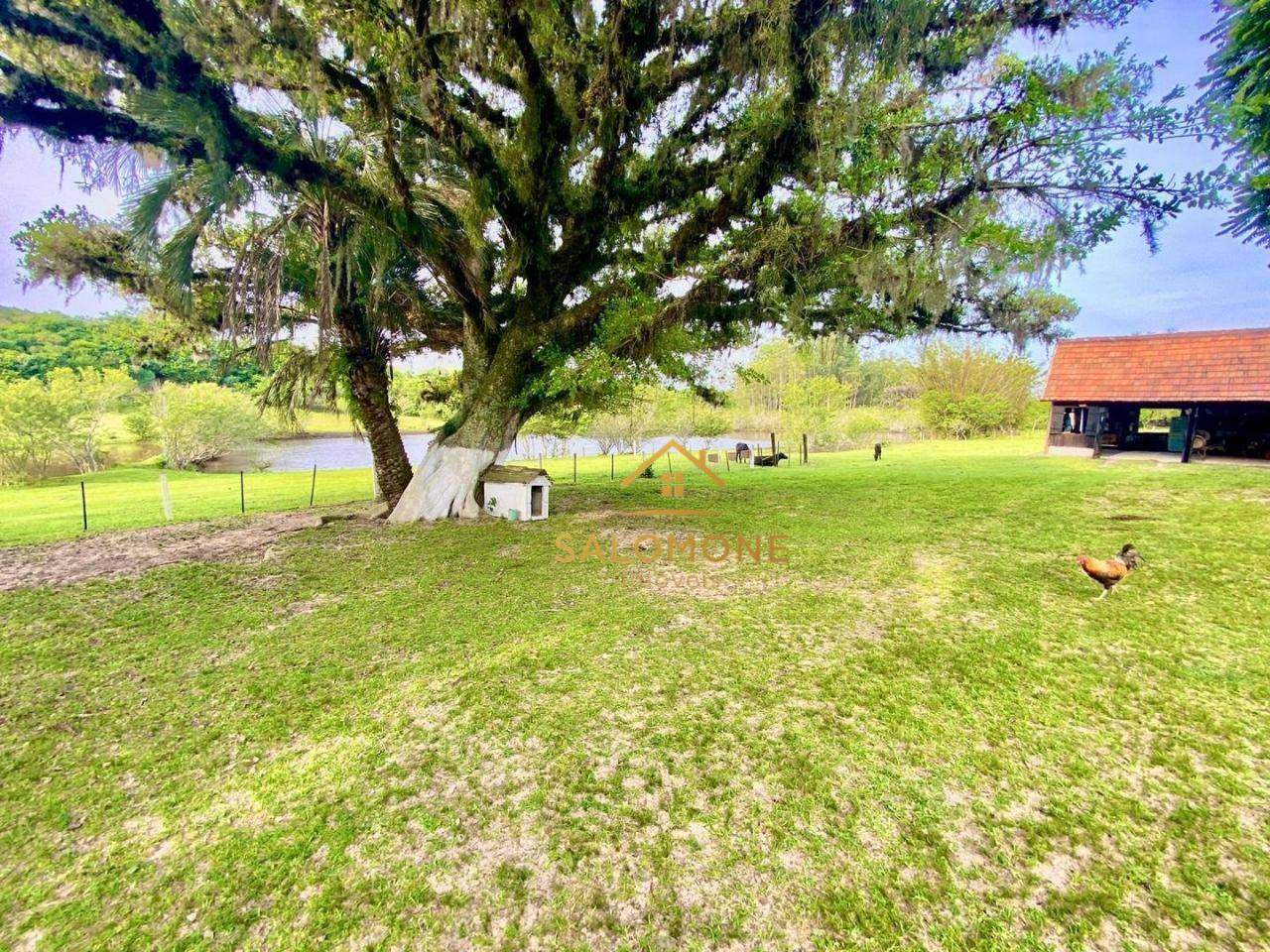 Sítio, 2 quartos, 4 hectares - Foto 1