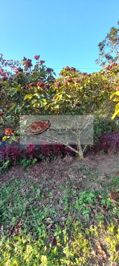 Chácara à venda com 2 quartos, 3000m² - Foto 3