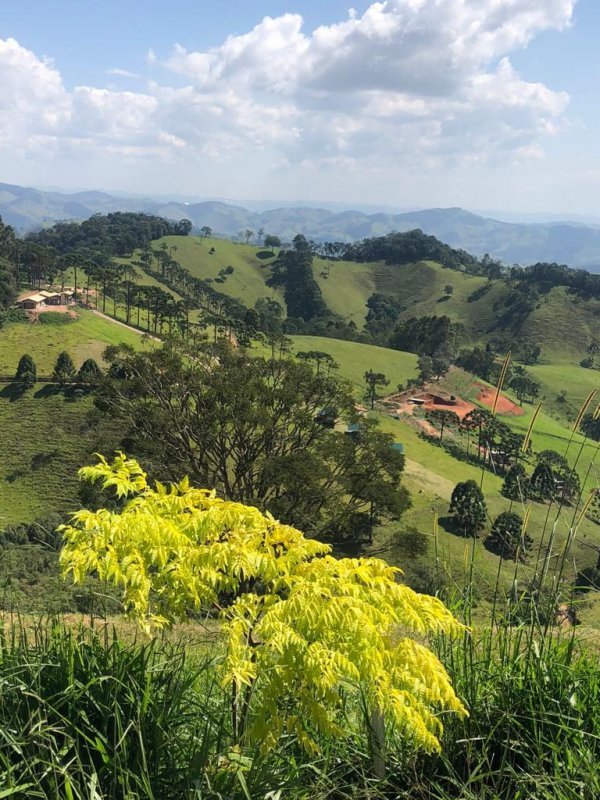 Terreno à venda, 500m² - Foto 4