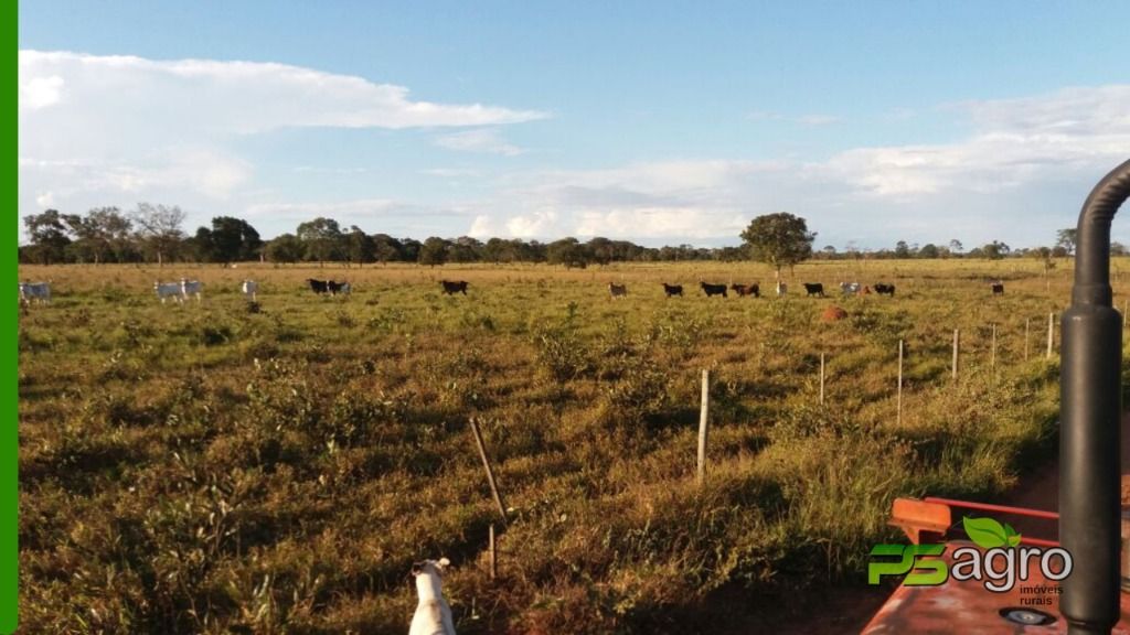 Fazenda à venda, 18029000M2 - Foto 13