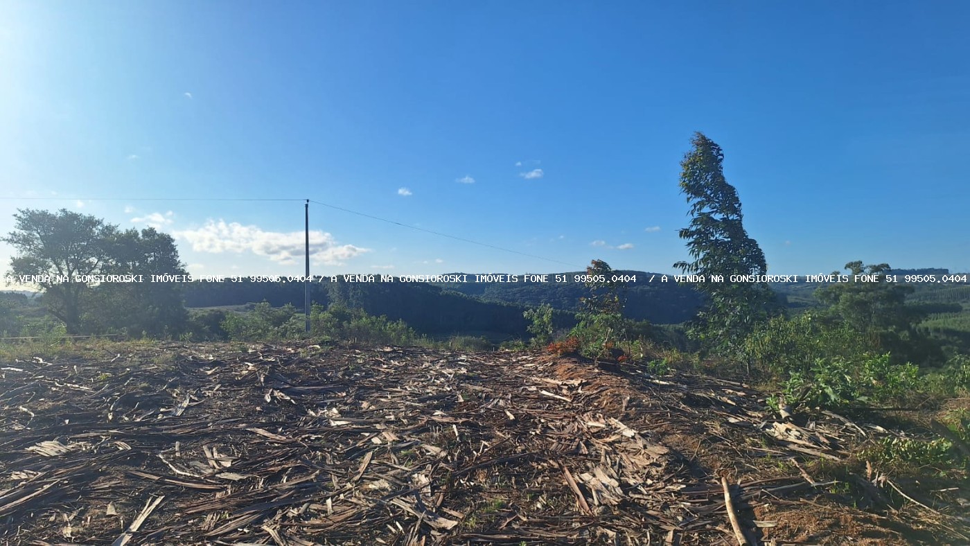 Sítio à venda com 2 quartos, 96000m² - Foto 10