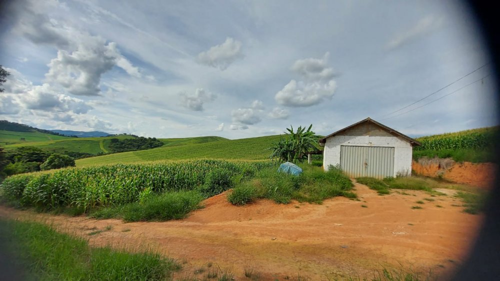 Fazenda, 178 hectares - Foto 12