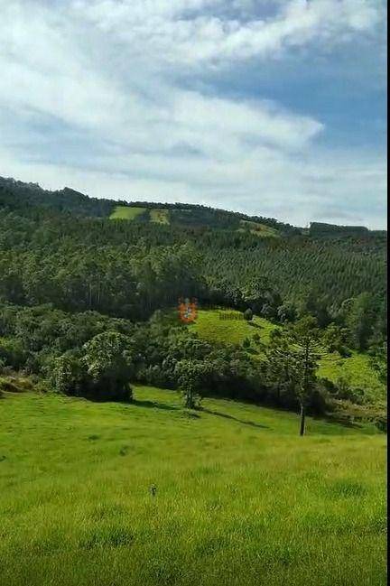 Terreno, 5 hectares - Foto 1