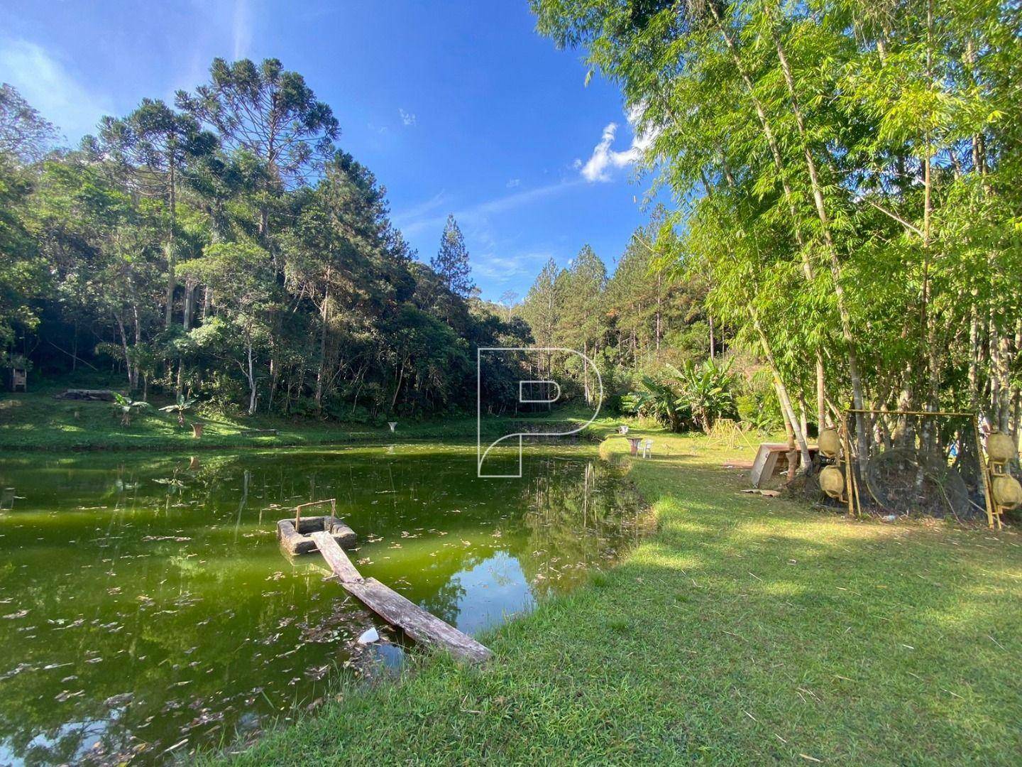 Terreno à venda, 75000M2 - Foto 24