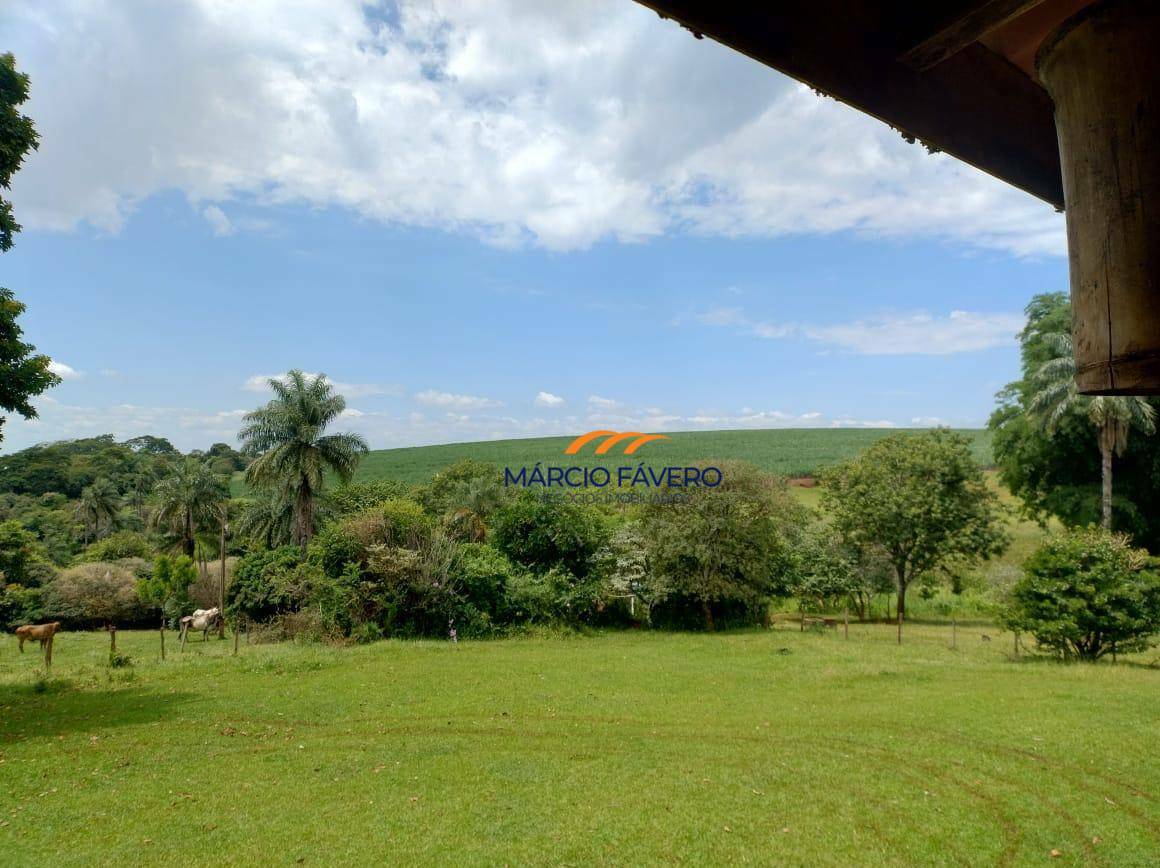 Fazenda-Sítio-Chácara, 298 hectares - Foto 8