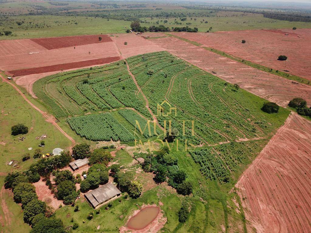 Fazenda à venda com 3 quartos, 2538338M2 - Foto 15