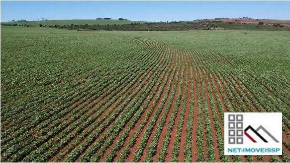 Fazenda-Sítio-Chácara, 284 hectares - Foto 4