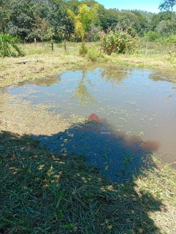 Chácara, 2 quartos, 2 hectares - Foto 3