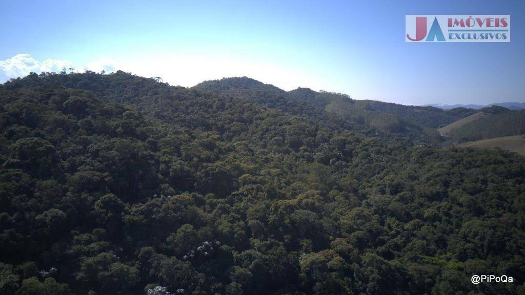 Fazenda-Sítio-Chácara, 90 hectares - Foto 5