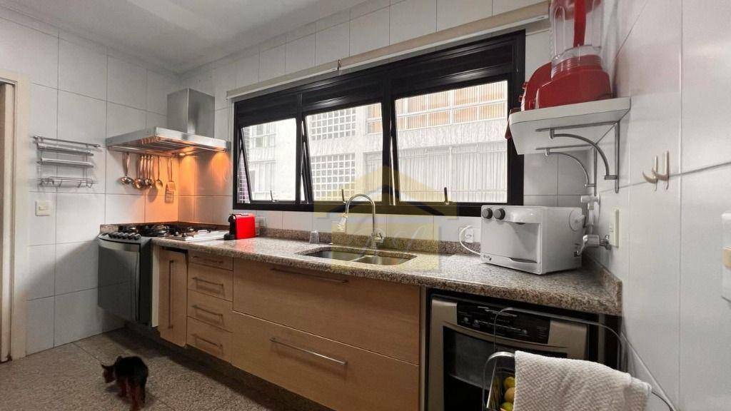 Apartamento à venda e aluguel com 4 quartos, 234m² - Foto 14