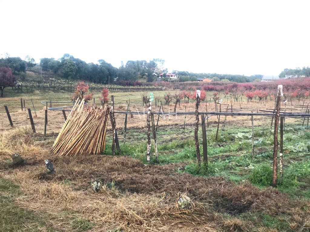 Terreno à venda, 527m² - Foto 33