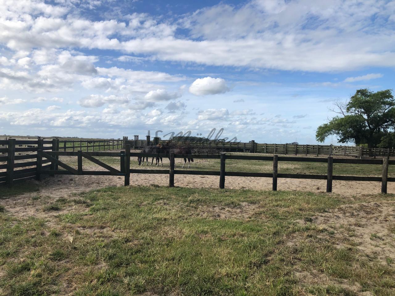 Fazenda à venda, 2300m² - Foto 23