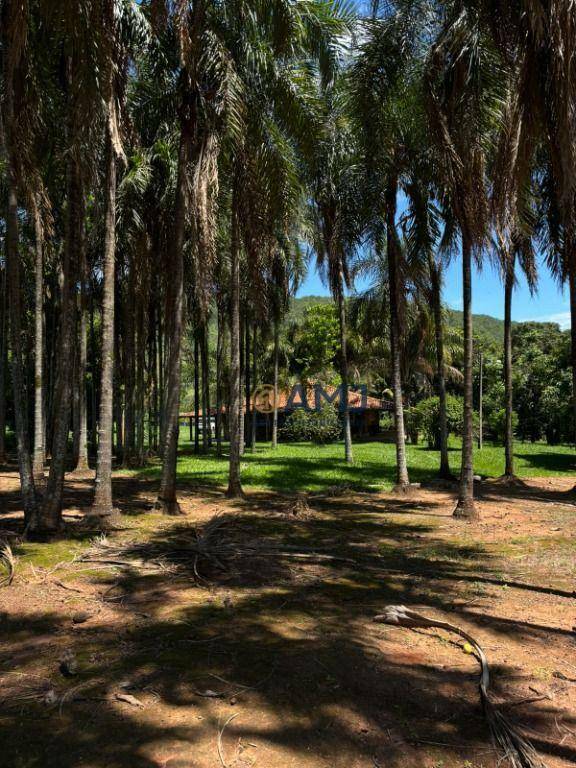 Fazenda à venda com 6 quartos, 500m² - Foto 17