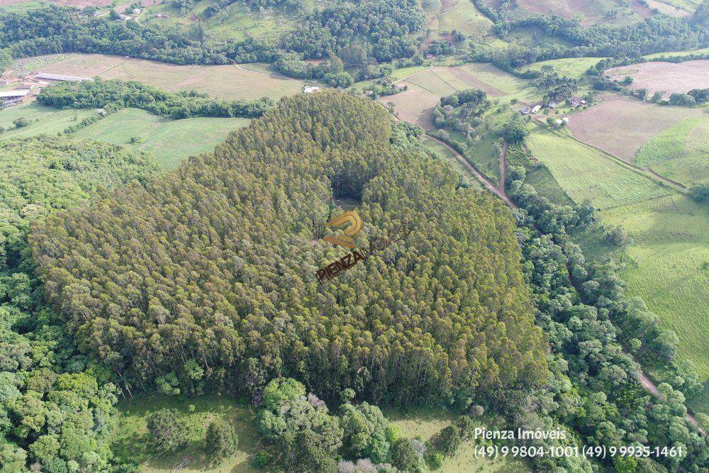 Terreno à venda, 57000m² - Foto 12