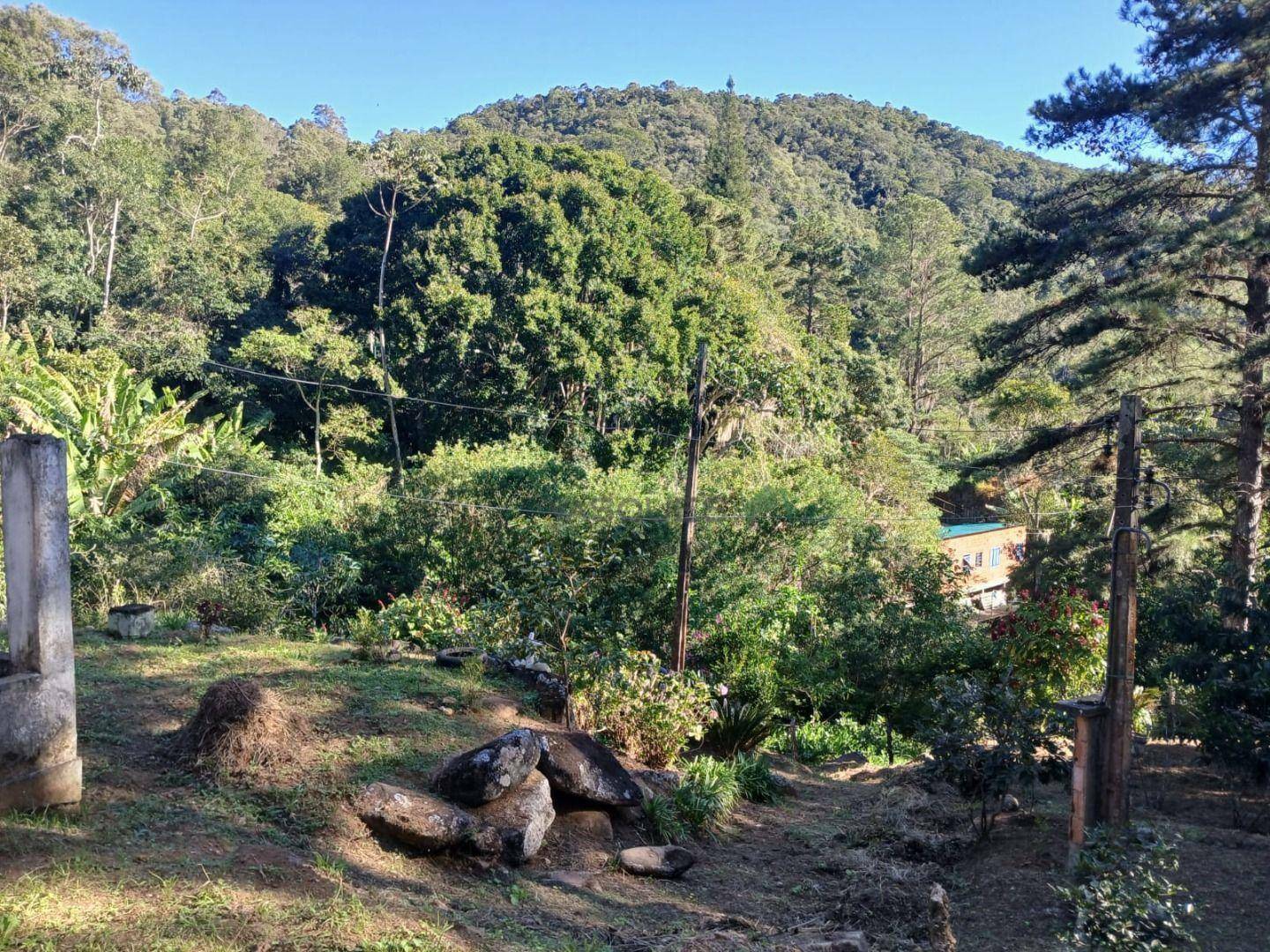 Terreno à venda, 214396M2 - Foto 7