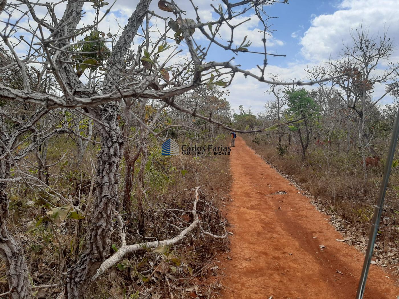 Chácara à venda, 20000m² - Foto 5