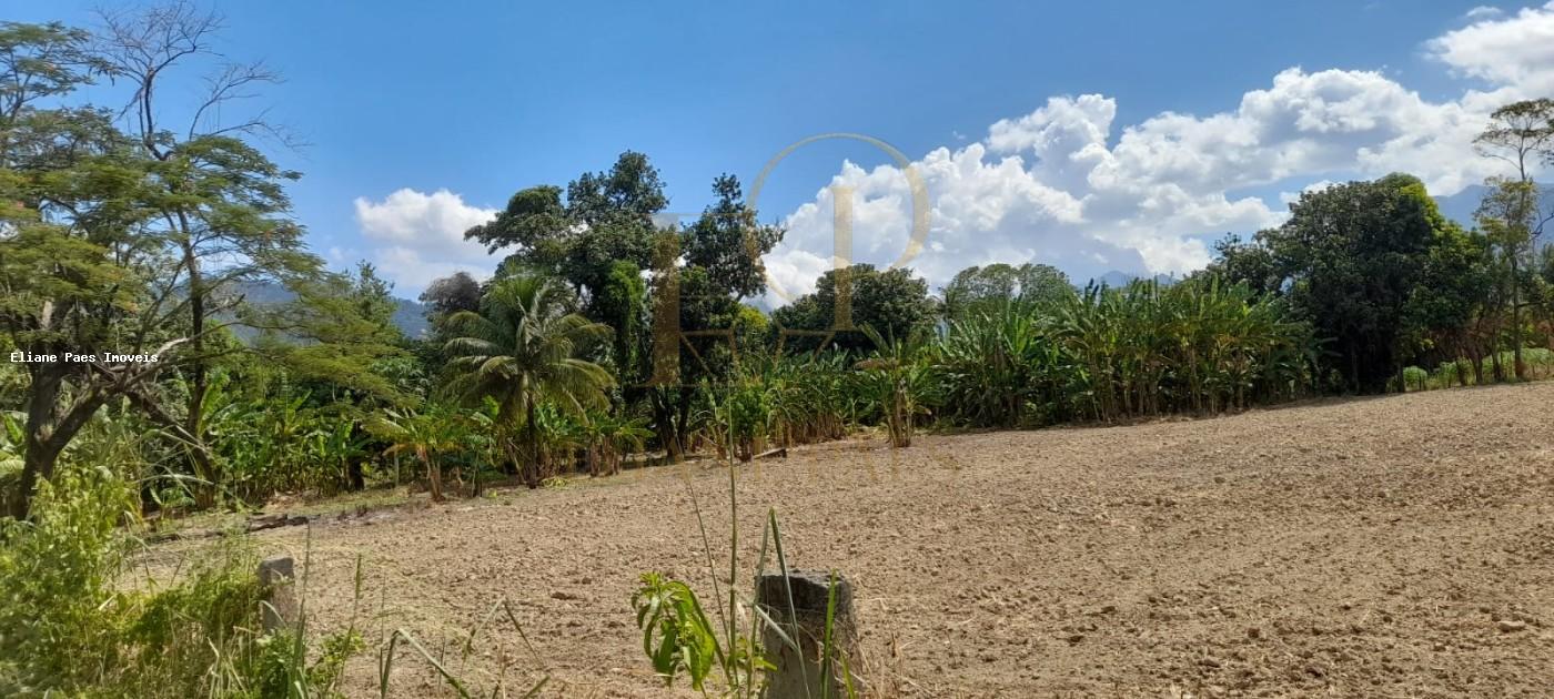 Sítio à venda com 4 quartos, 2100m² - Foto 6