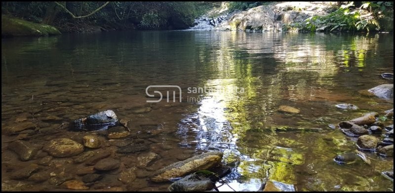 Fazenda-Sítio-Chácara, 24 hectares - Foto 4