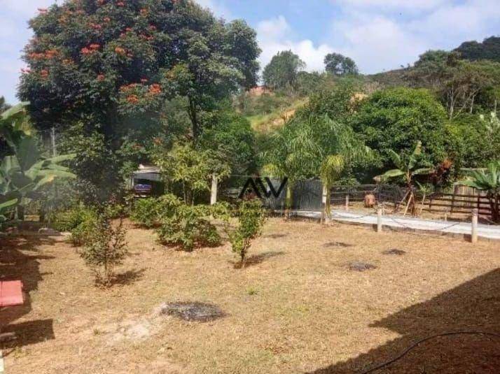 Chácara, 1 quarto, 4800 m² - Foto 5