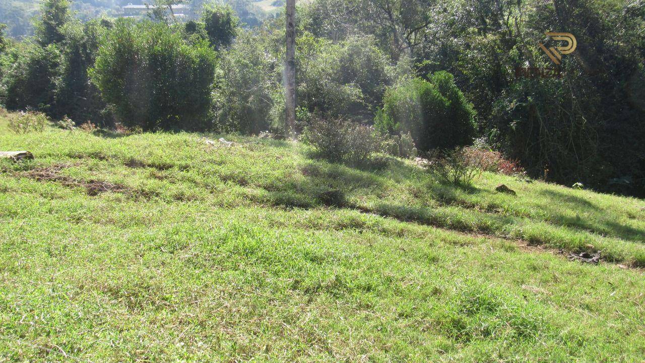 Terreno à venda, 30000M2 - Foto 8