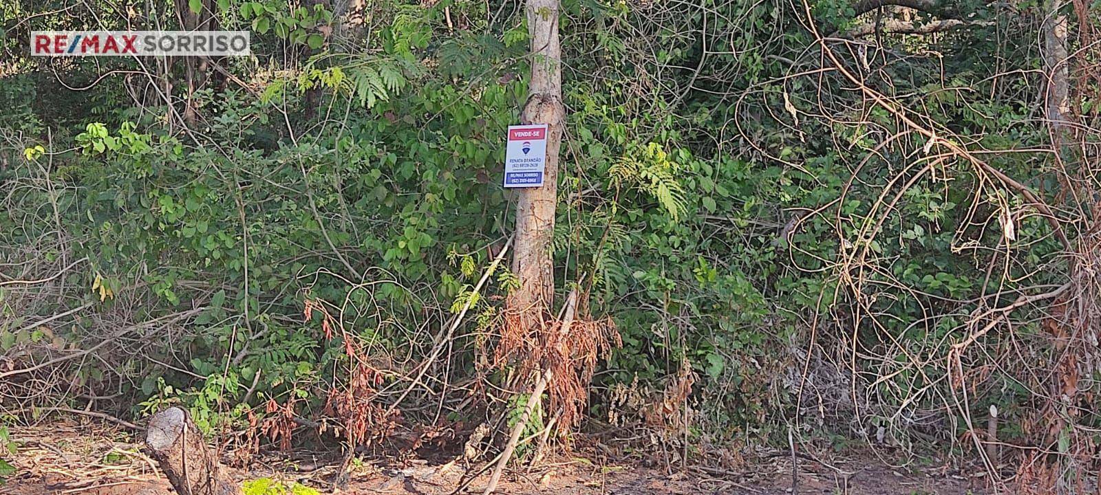 Loteamento e Condomínio à venda, 1500M2 - Foto 5