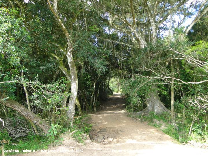 Fazenda à venda com 3 quartos, 160000m² - Foto 17