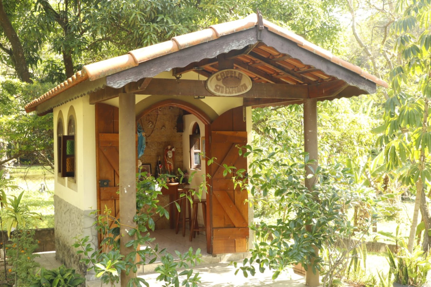 Chácara à venda com 4 quartos, 3500m² - Foto 8