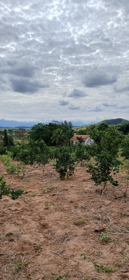 Sítio à venda com 3 quartos, 67000m² - Foto 19
