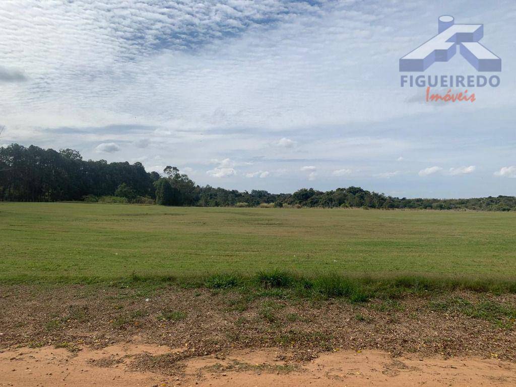 Sítio, 26 hectares - Foto 6