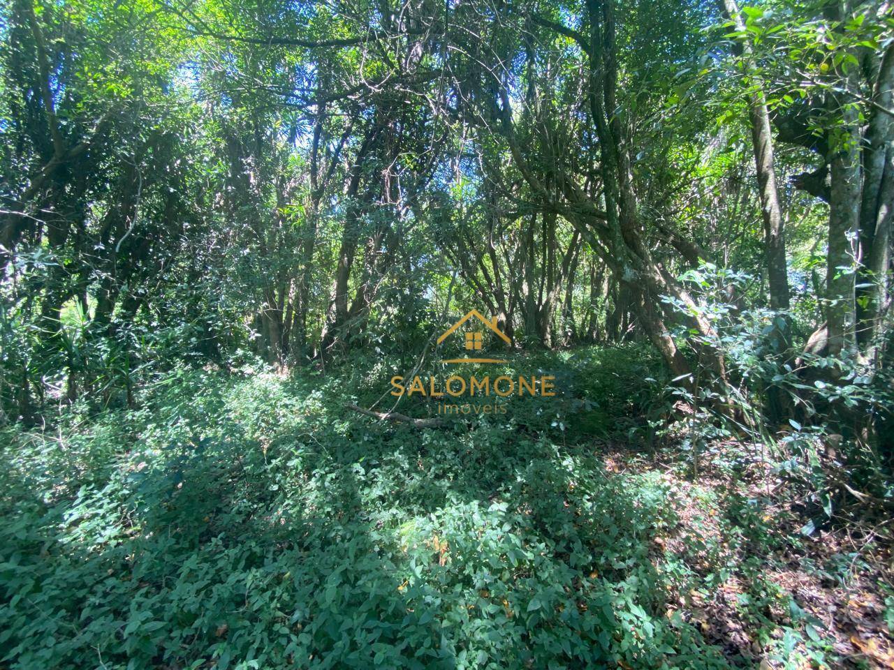 Loteamento e Condomínio, 480 m² - Foto 2