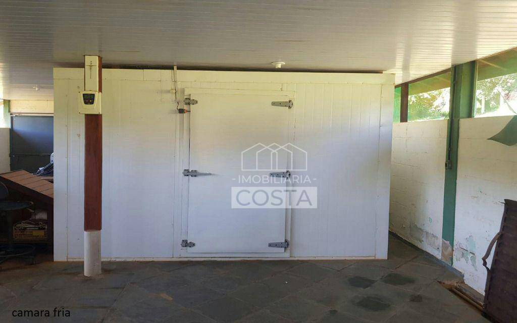 Sítio à venda com 4 quartos, 16600M2 - Foto 30