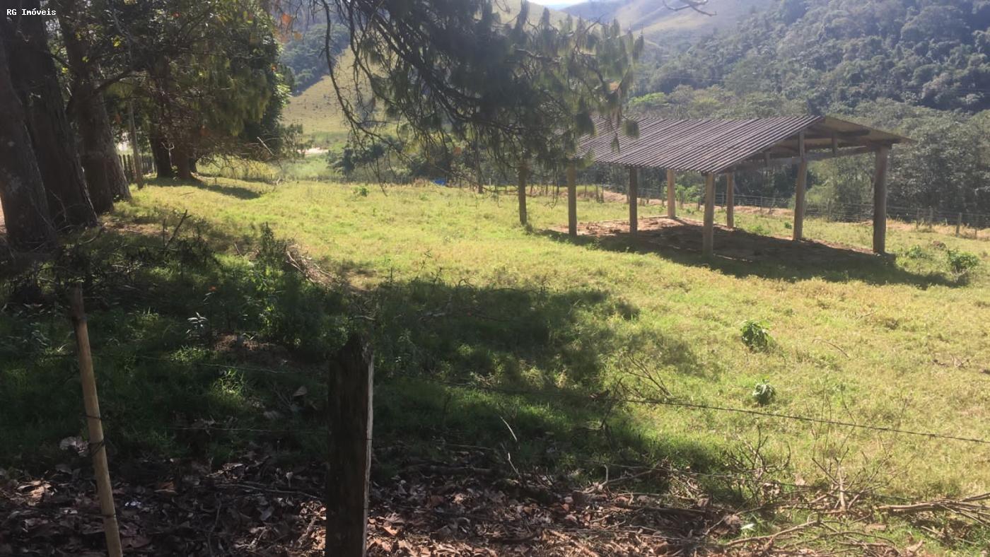 Sítio à venda com 3 quartos, 150m² - Foto 11