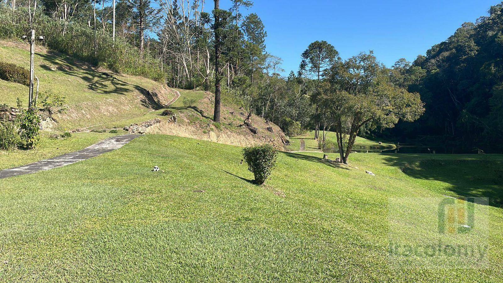 Chácara à venda com 6 quartos, 338800M2 - Foto 15