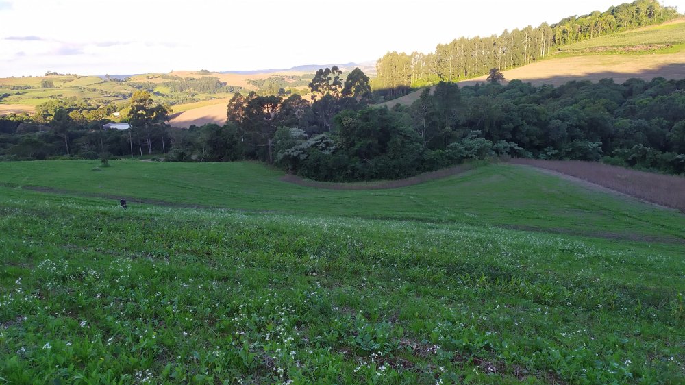 Fazenda à venda, 17m² - Foto 5