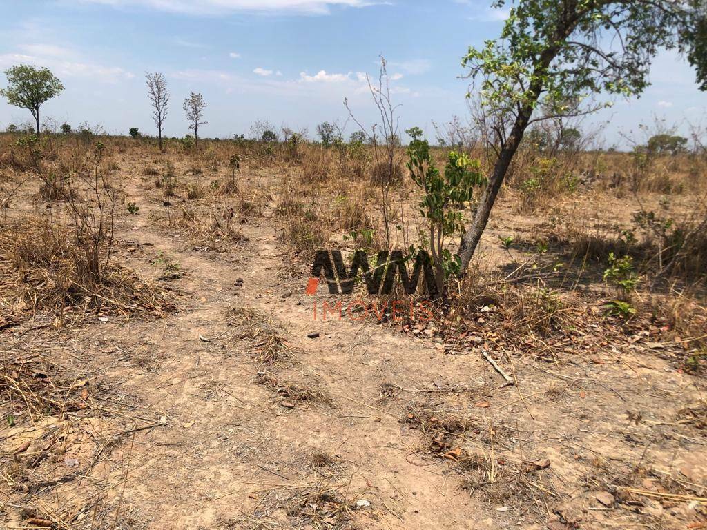 Fazenda-Sítio-Chácara, 1462 hectares - Foto 12