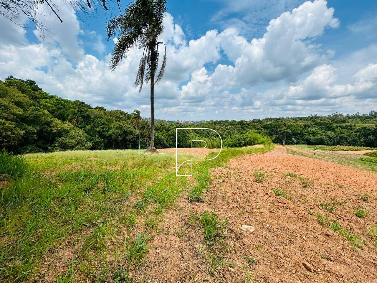 Terreno, 5 hectares - Foto 7