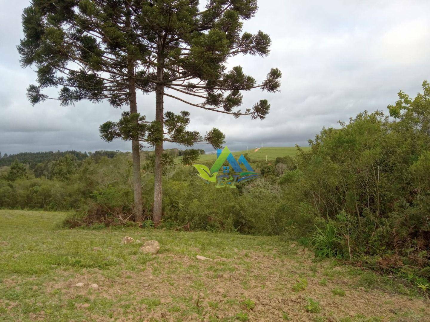 Terreno à venda, 7200M2 - Foto 3