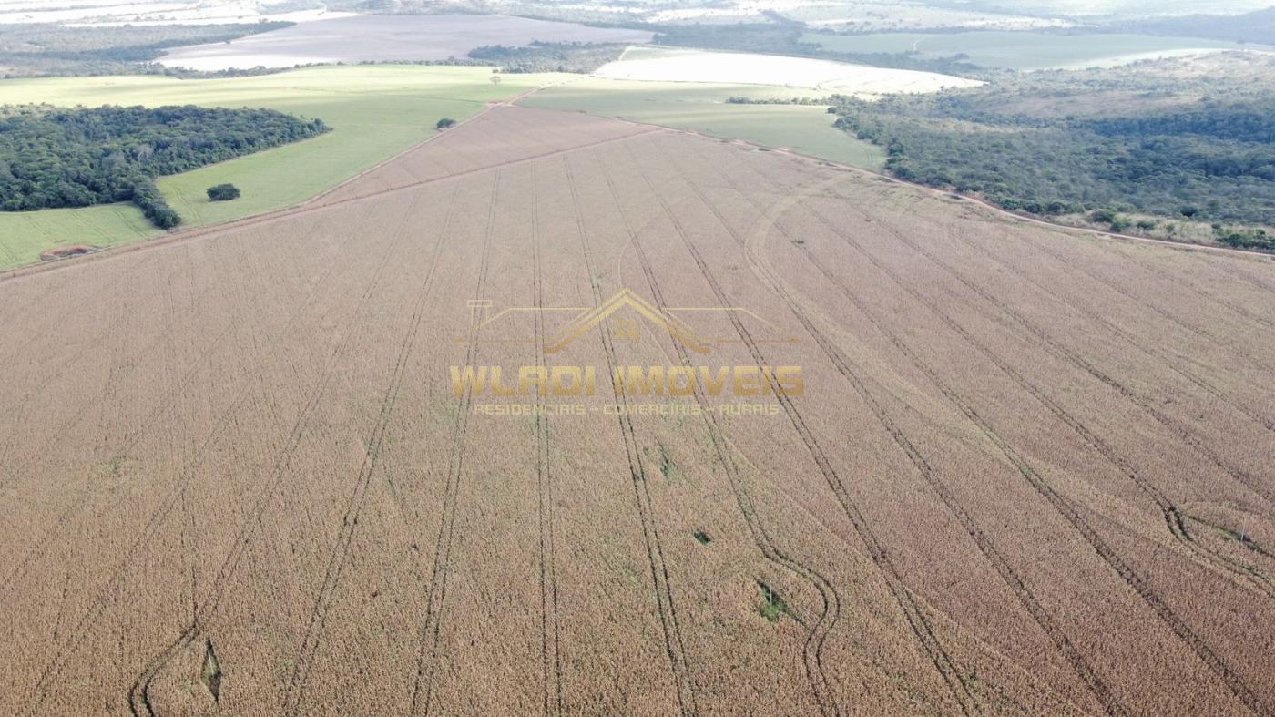 Fazenda à venda, 1470m² - Foto 3