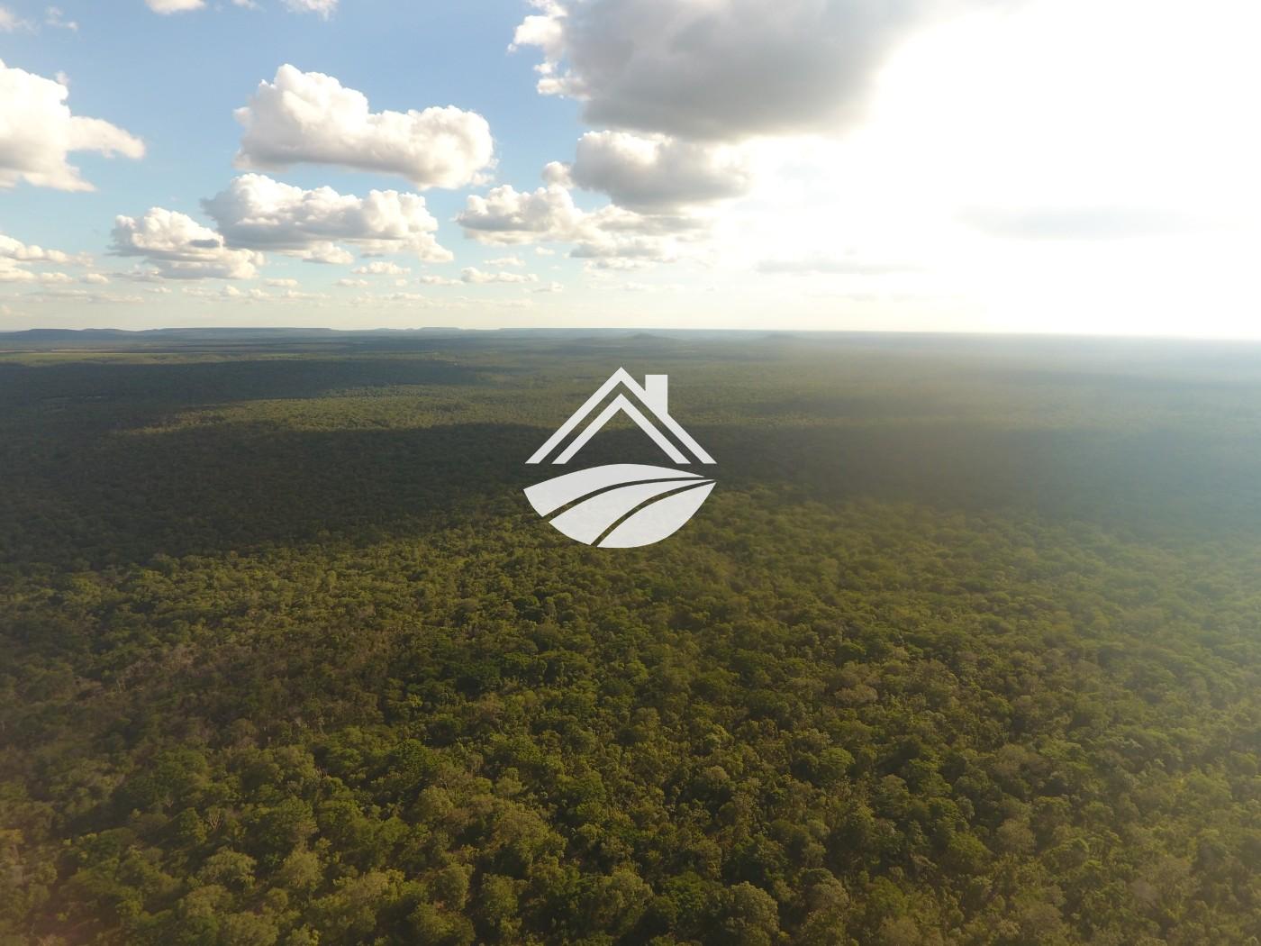 Fazenda-Sítio-Chácara, 1 m² - Foto 20