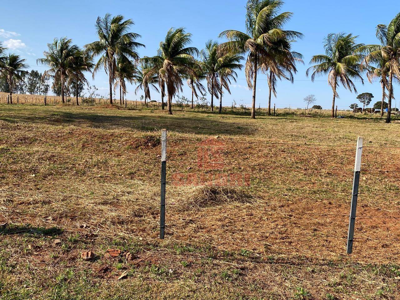 Sítio, 2 hectares - Foto 16